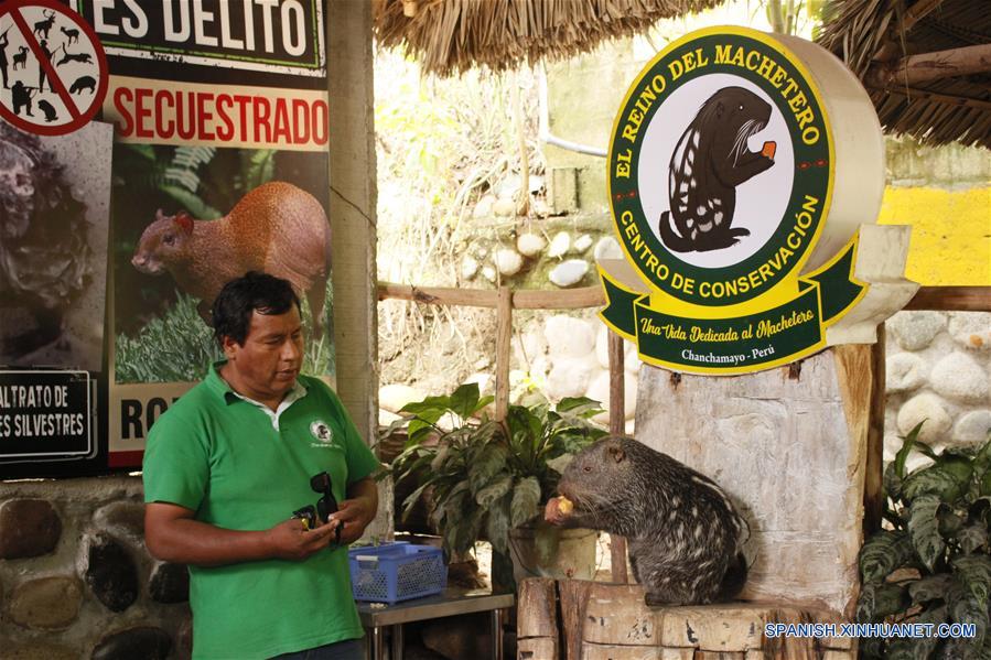 PERU-CHANCHAMAYO-PACARANA