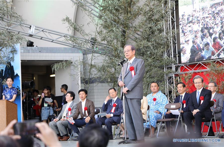 JAPON-TOKIO-CHINA-FESTIVAL