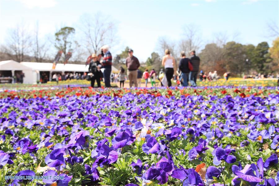 AUSTRALIA-CANBERRA-FESTIVAL DE LAS FLORES