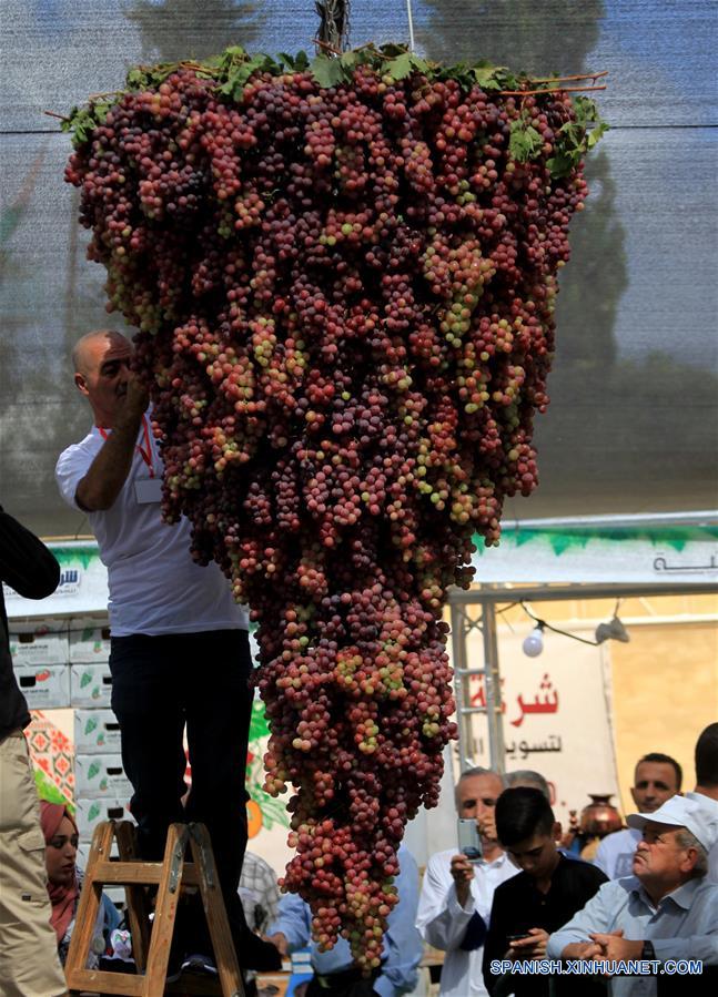 MEDIO ORIENTE-HEBRON-FESTIVAL-UVAS