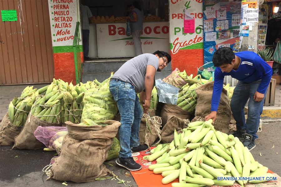 MEXICO-CIUDAD DE MEXICO-GASTRONOMIA-SERIE