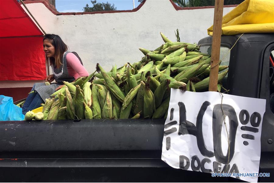 MEXICO-CIUDAD DE MEXICO-GASTRONOMIA-SERIE