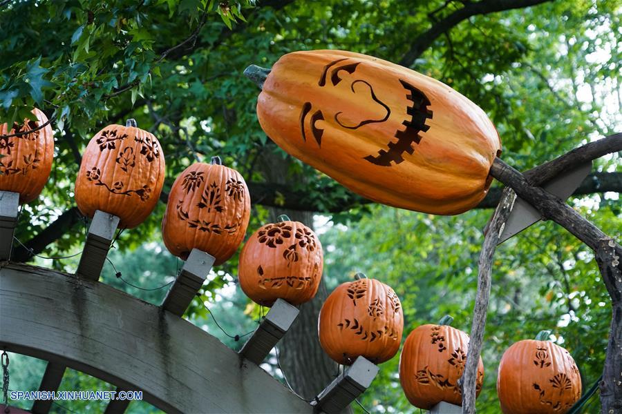 EEUU-NUEVA YORK-JARDIN-CALABAZAS