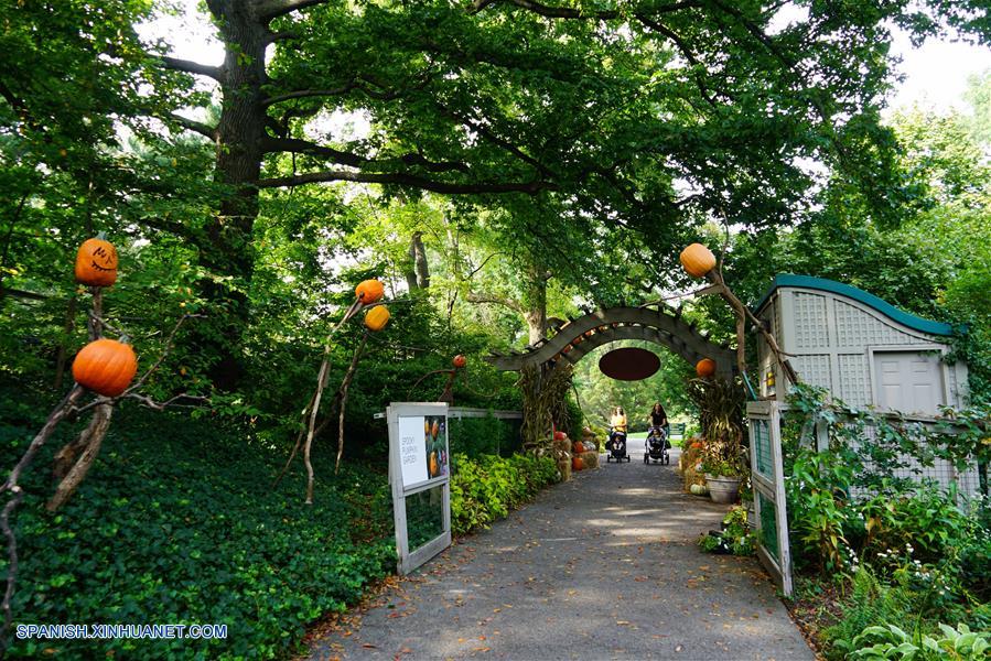 EEUU-NUEVA YORK-JARDIN-CALABAZAS