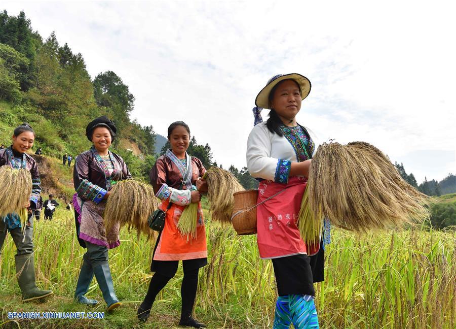 Guangxi: Festival cultural de arroz glutinoso pú
