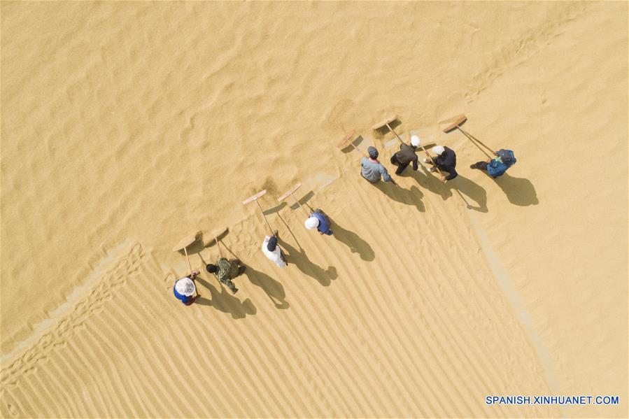 CHINA-JIANGSU-COSECHA-OTO&Ntilde;O