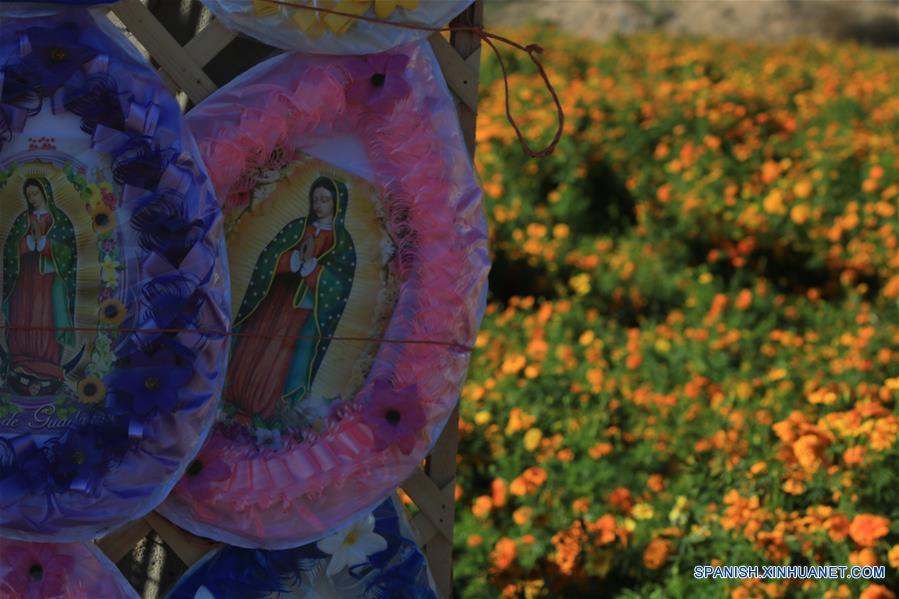 MEXICO-LOMA BLANCA-DIA DE MUERTOS-CEMPASUCHIL