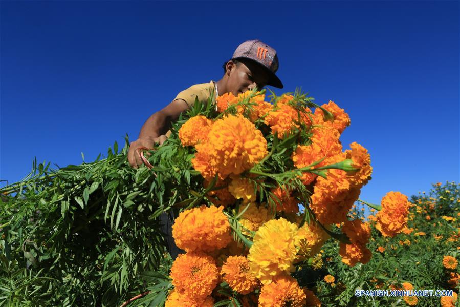 MEXICO-LOMA BLANCA-DIA DE MUERTOS-CEMPASUCHIL