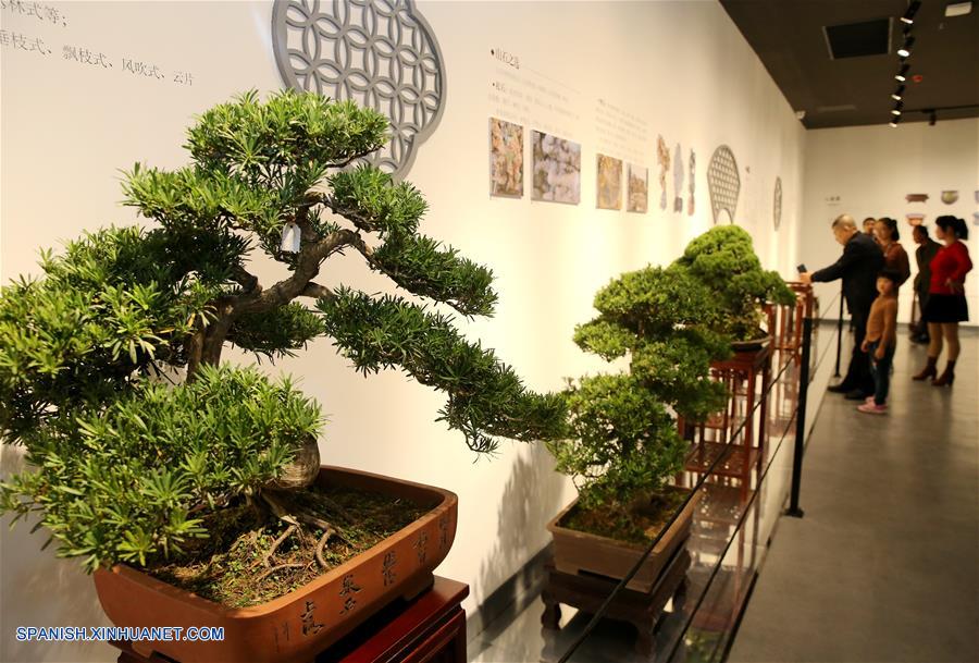 CHINA-JIANGSU-MUSEO-ARBOLES BONSAI