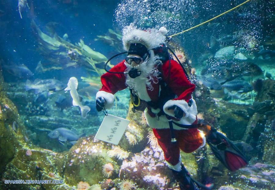 CANADA-VANCOUVER-NAVIDAD-ACUARIO