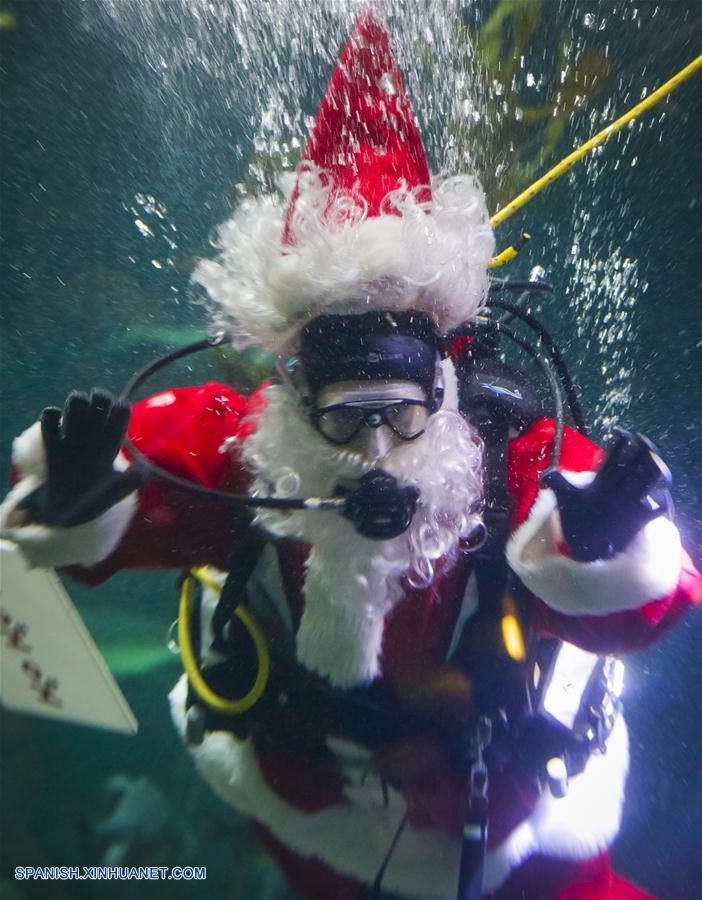 CANADA-VANCOUVER-NAVIDAD-ACUARIO