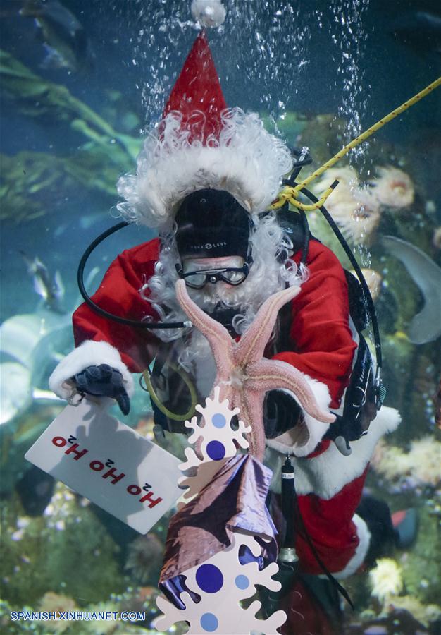 CANADA-VANCOUVER-NAVIDAD-ACUARIO