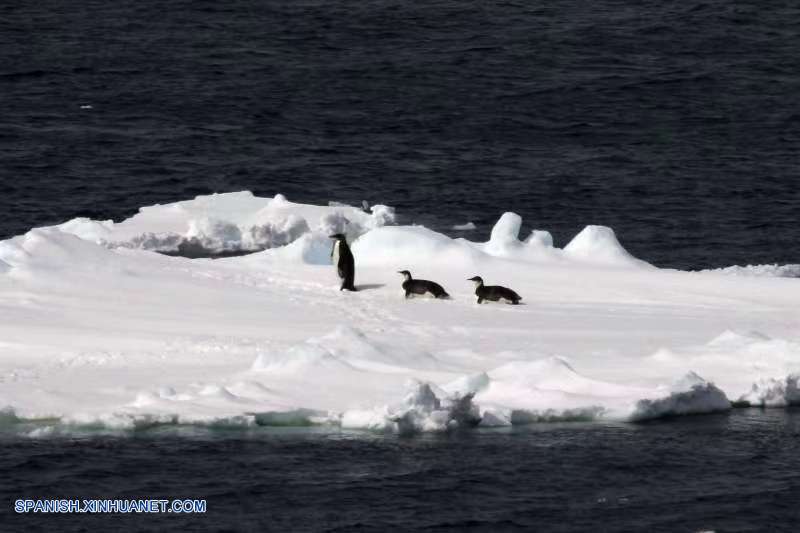 CHINA-A BORDO DEL XUELONG-EXPEDICION