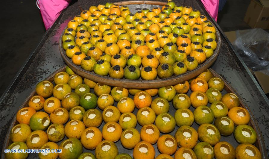 CHINA-GUANGDONG-MANDARINA-COSECHA
