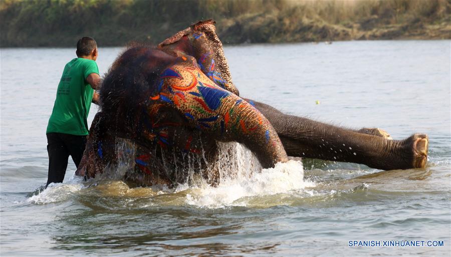 NEPAL-CHITWAN-FESTIVAL DEL ELEFANTE