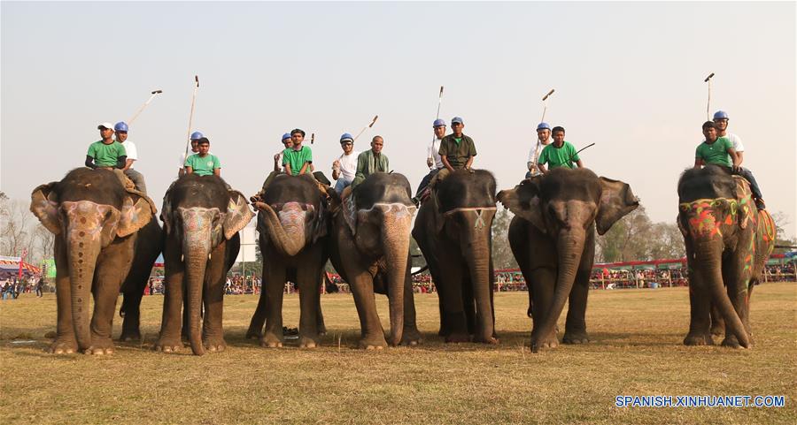 NEPAL-CHITWAN-FESTIVAL DEL ELEFANTE