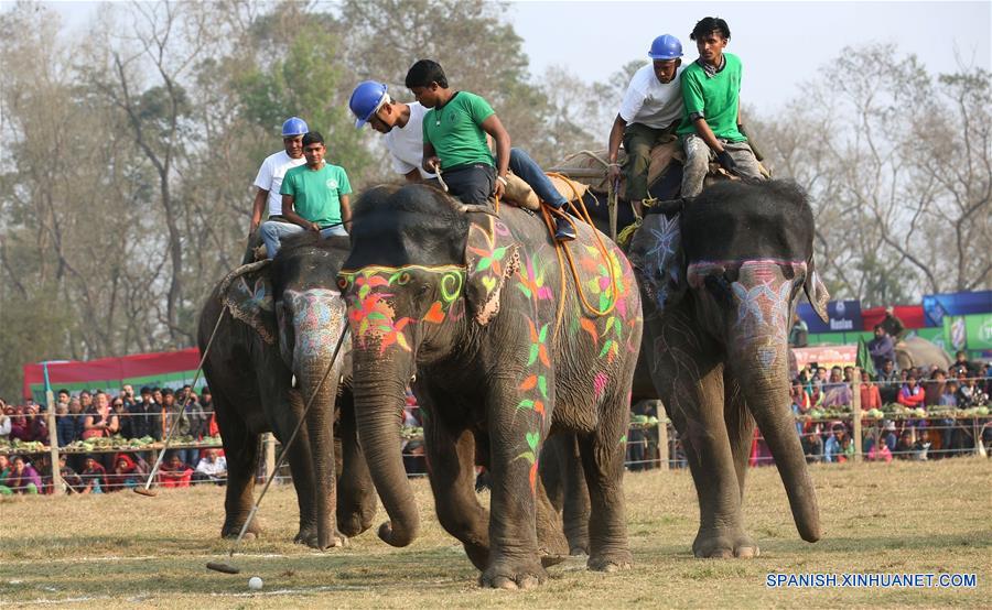 NEPAL-CHITWAN-FESTIVAL DEL ELEFANTE