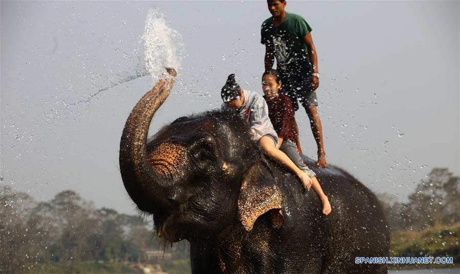 NEPAL-CHITWAN-FESTIVAL DEL ELEFANTE