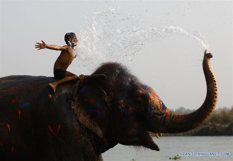 NEPAL-CHITWAN-FESTIVAL DEL ELEFANTE