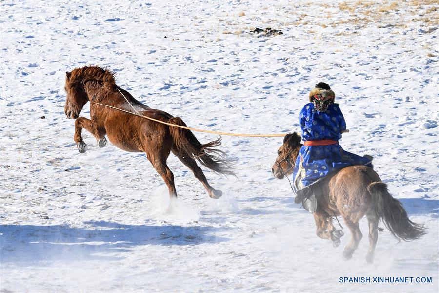 CHINA-UJUMQIN-CABALLOS