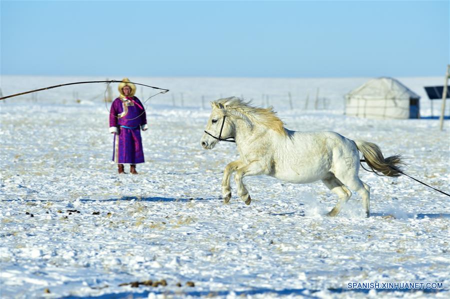 CHINA-UJUMQIN-CABALLOS