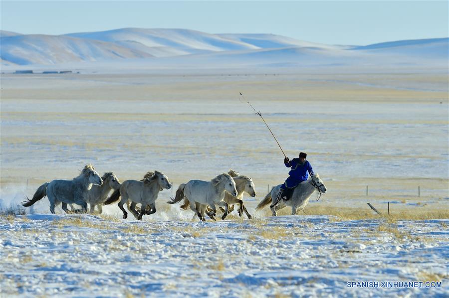 CHINA-UJUMQIN-CABALLOS