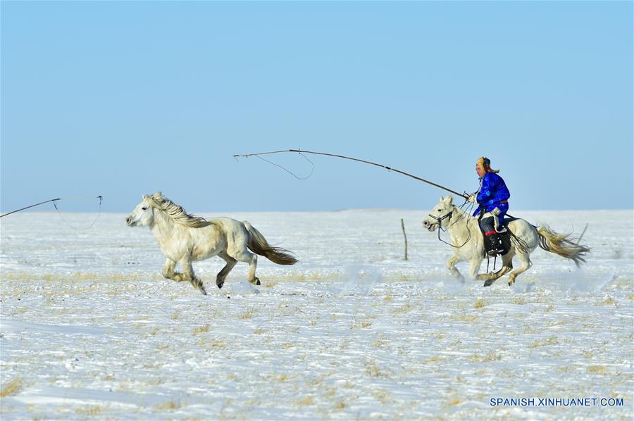 CHINA-UJUMQIN-CABALLOS