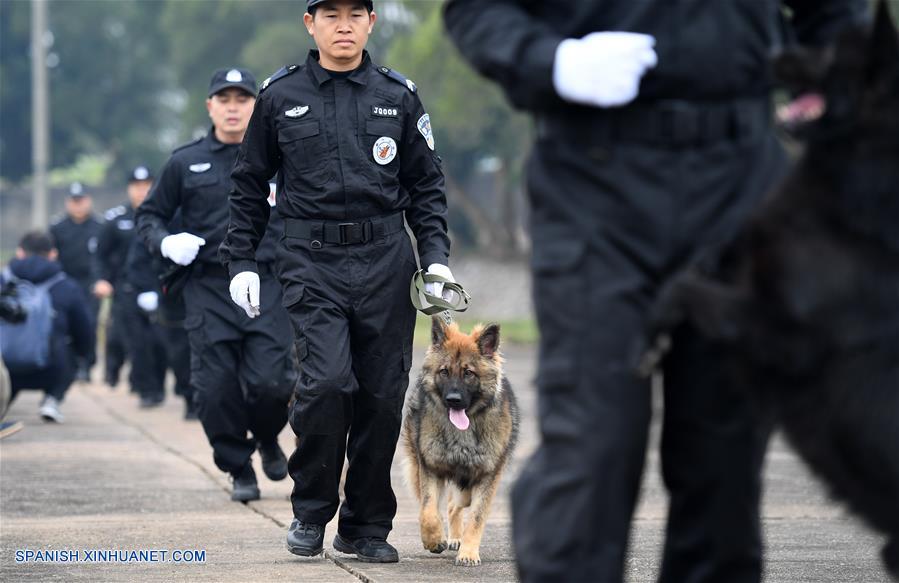 CHINA-GUANGXI-PERRO POLICIA-ENTRENAMIENTO