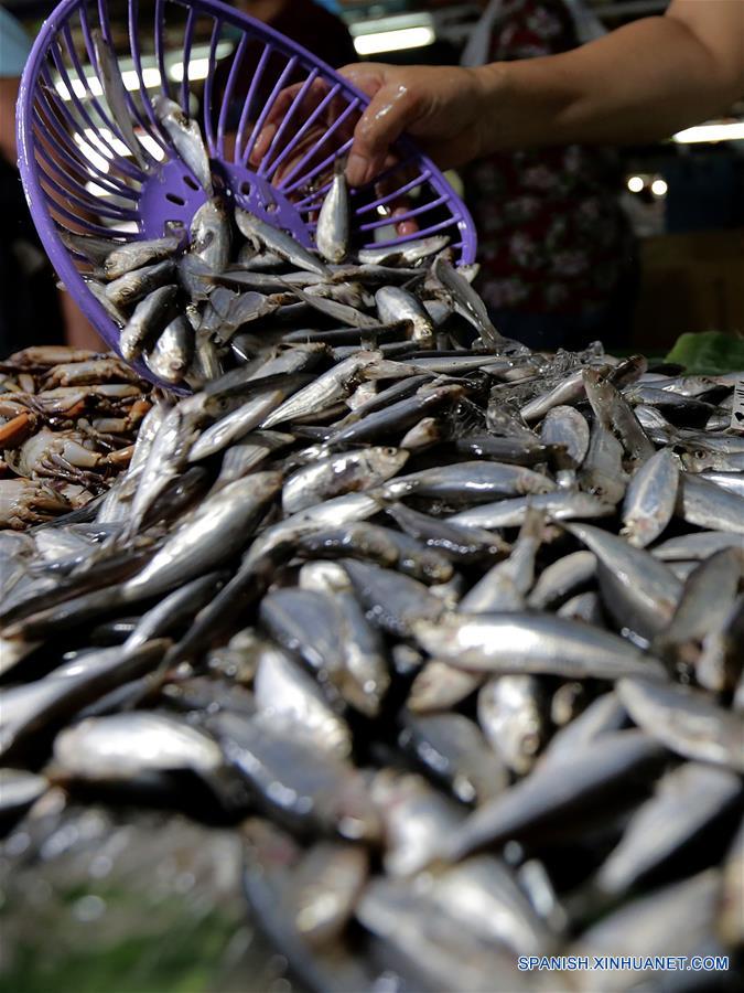 FILIPINAS-QUEZON-MERCADO-SARDINAS-PELIGRO DE EXTINCION