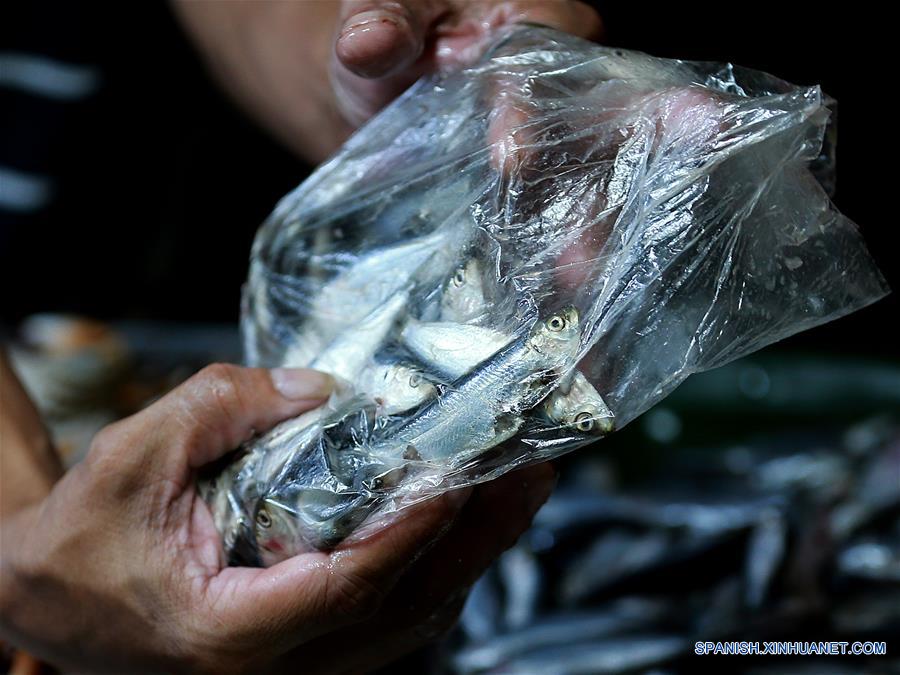 FILIPINAS-QUEZON-MERCADO-SARDINAS-PELIGRO DE EXTINCION