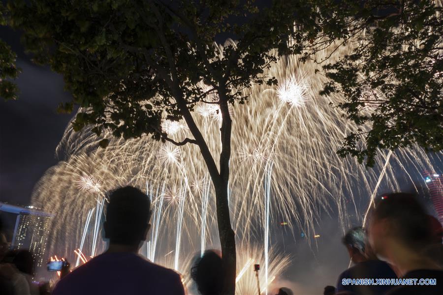 SINGAPUR-SINGAPUR-AÑO NUEVO LUNAR-FUEGOS ARTIFICIALES