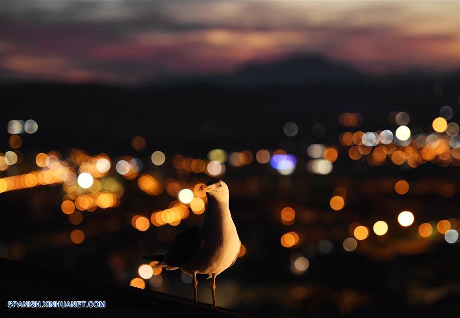 ESPA&Ntilde;A-ALICANTE-PAISAJE