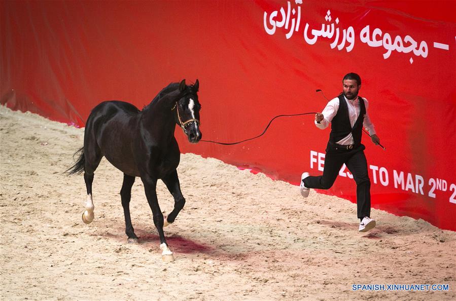 IRAN-TEHERAN-CABALLO-FESTIVAL