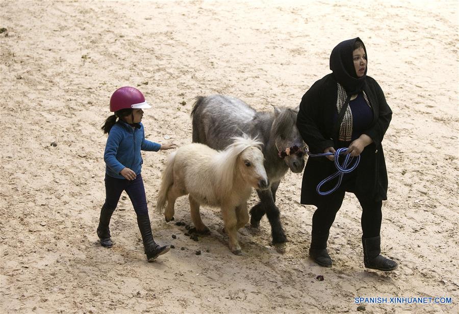 IRAN-TEHERAN-CABALLO-FESTIVAL