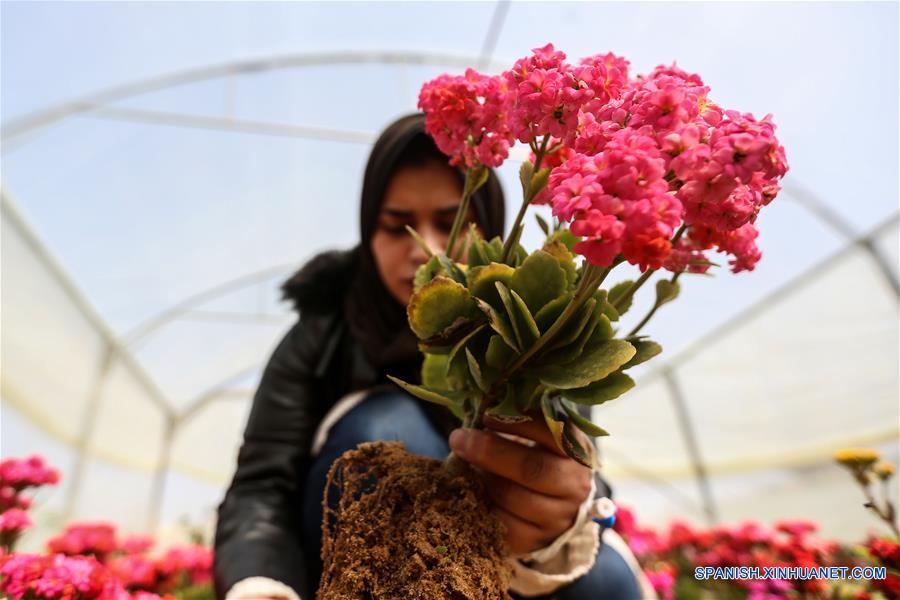 MEDIO ORIENTE-GAZA-FLORES