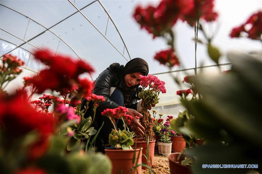 MEDIO ORIENTE-GAZA-FLORES