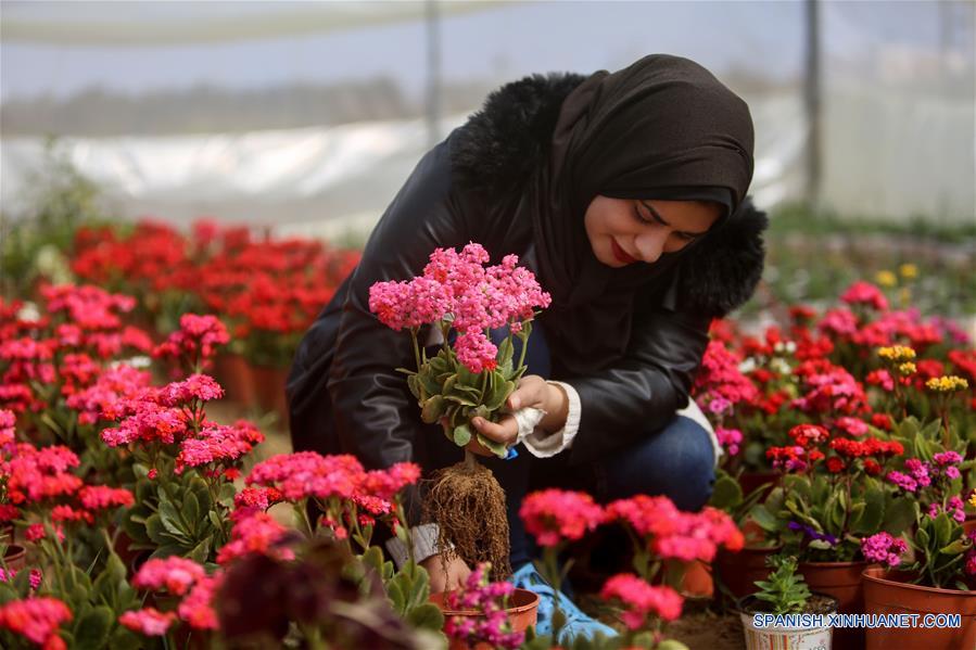 MEDIO ORIENTE-GAZA-FLORES