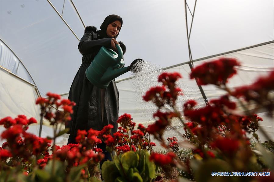 MEDIO ORIENTE-GAZA-FLORES