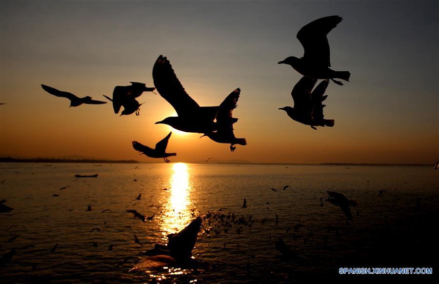 MYANMAR-MAWLAMYINE-GAVIOTAS-PUESTA DE SOL