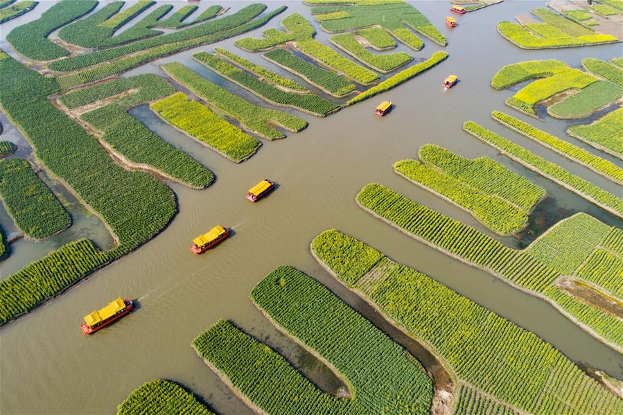 CHINA-JIANGSU-PRIMAVERA-PAISAJE