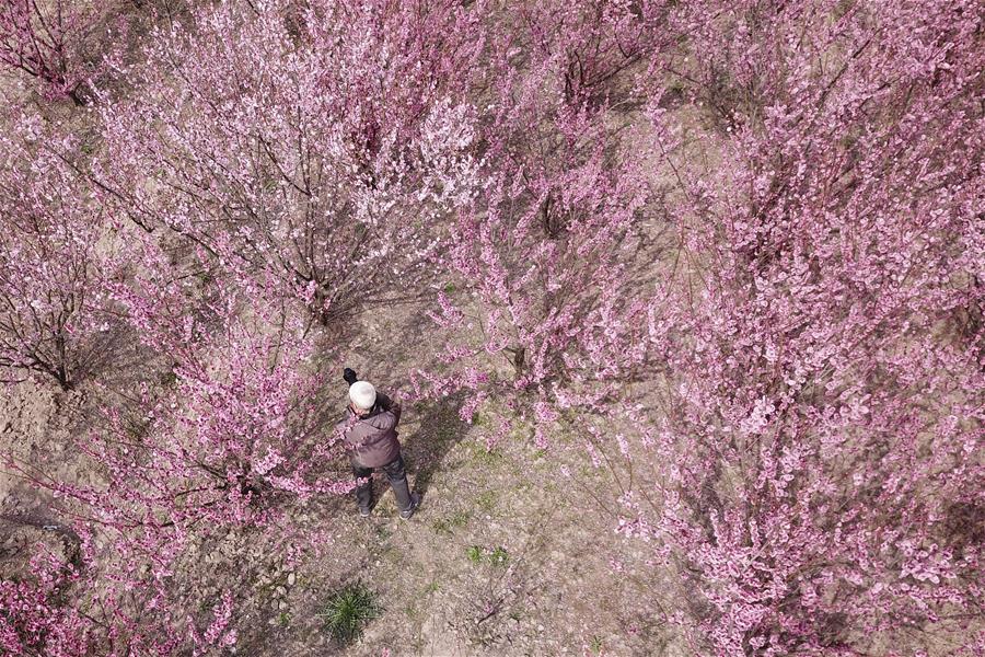 CHINA-JIANGSU-PRIMAVERA-PAISAJE