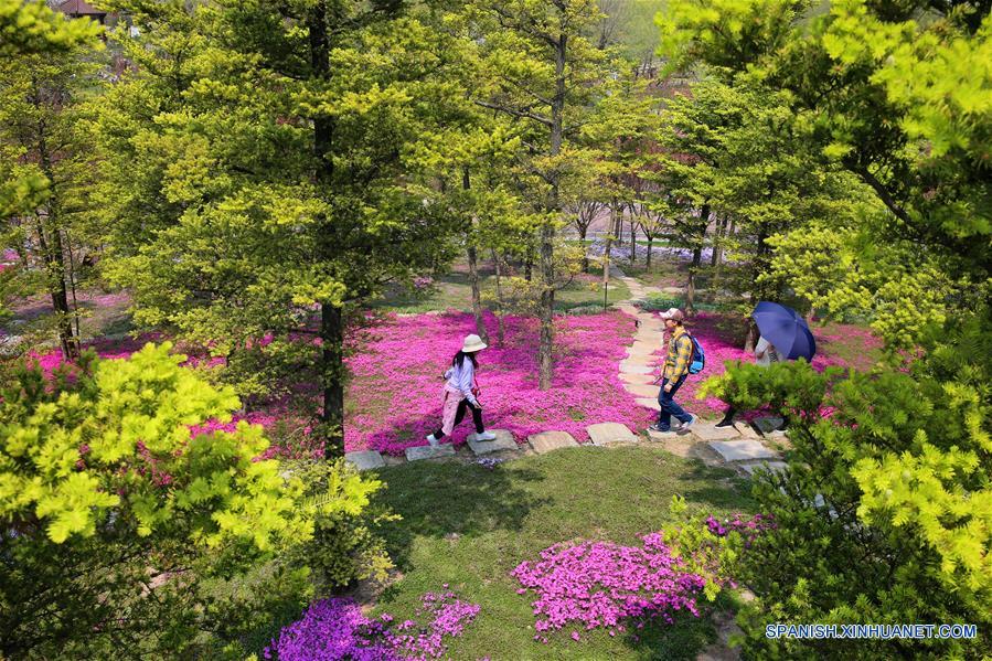 CHINA-JIANGSU-QINGMING-VACACIONES-TIEMPO LIBRE-TURISMO