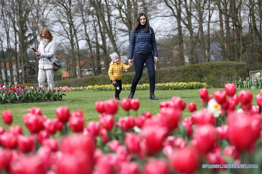 BELGICA-BRUSELAS-MUESTRA FLORAL