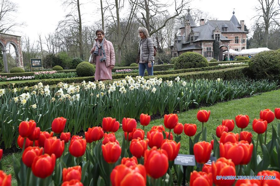 BELGICA-BRUSELAS-MUESTRA FLORAL