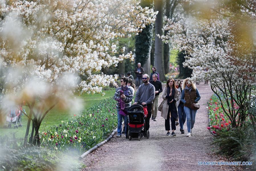 BELGICA-BRUSELAS-MUESTRA FLORAL