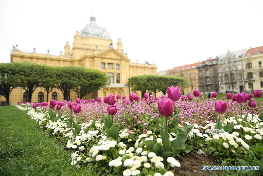 CROACIA-ZAGREB-PRIMAVERA-FLORES