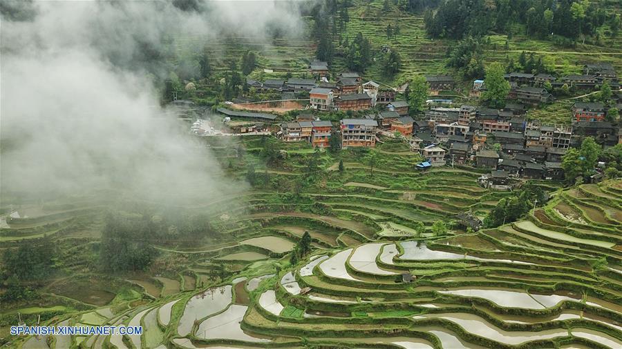 CHINA-GUIZHOU-CAMPOS ATERRAZADOS