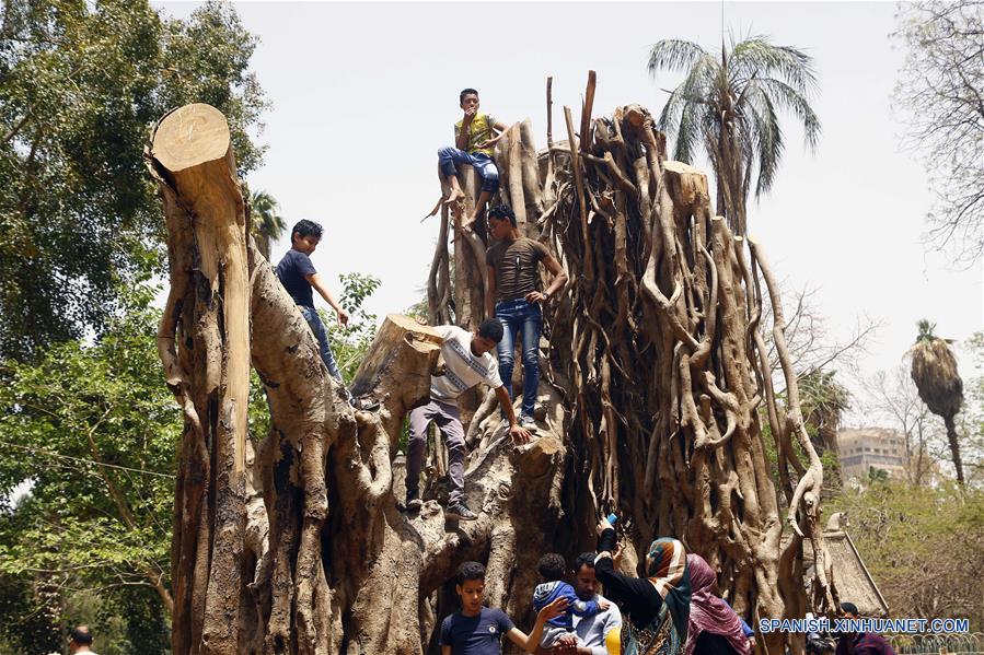 EGIPTO-CAIRO-SHAM EL NESSIM-PRIMAVERA