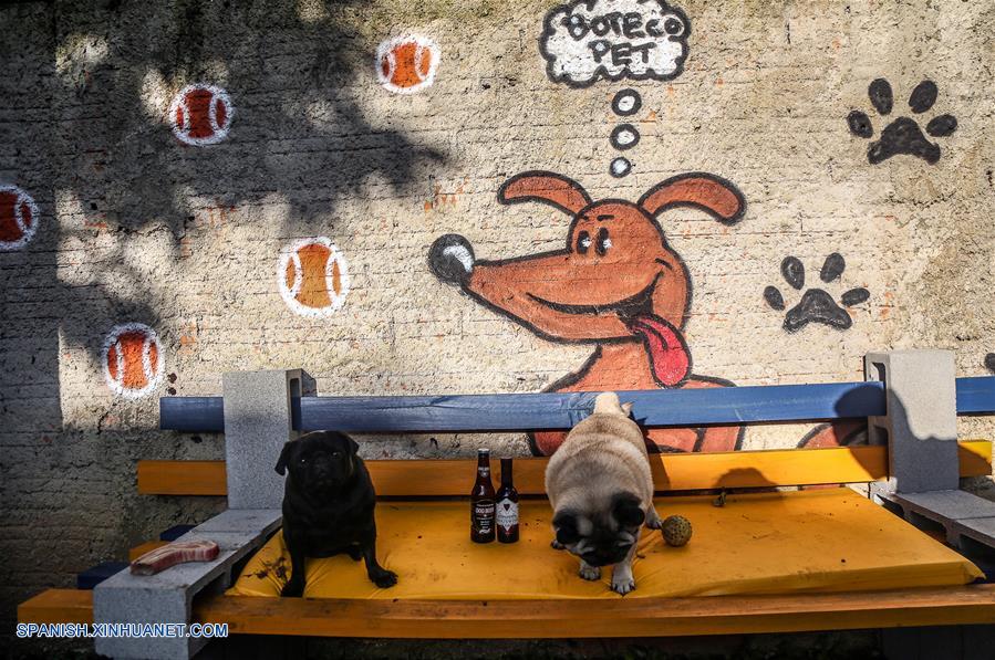 BRASIL-CURITIBA-BAR PARA PERROS
