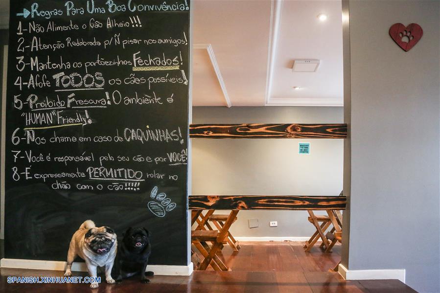 BRASIL-CURITIBA-BAR PARA PERROS